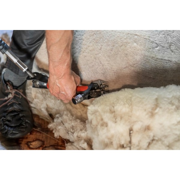 Wellington Sistem za striženje ovac Worm-Drive