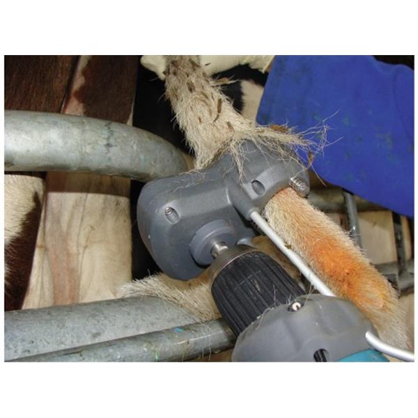 Prirezovalnik kravjega repa TailWell - Titanium