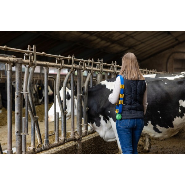 Utež za ovratnico 500 g