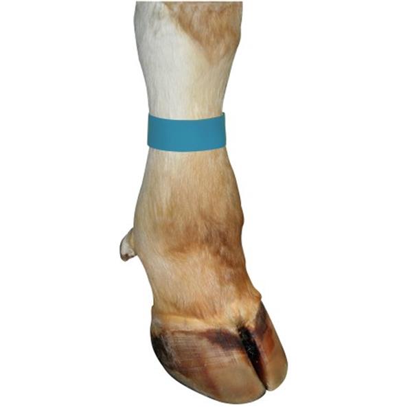 Trak za noge - 10 kom/pak