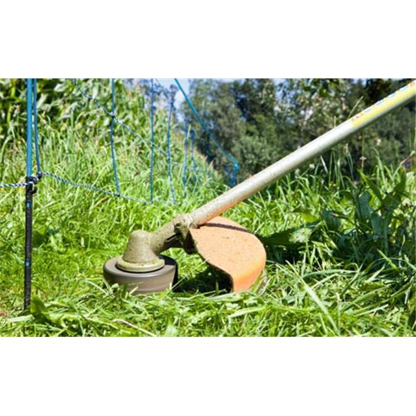 WildNet - za divje svinje