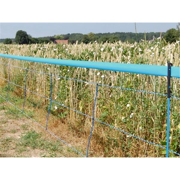 WildNet - za divje svinje