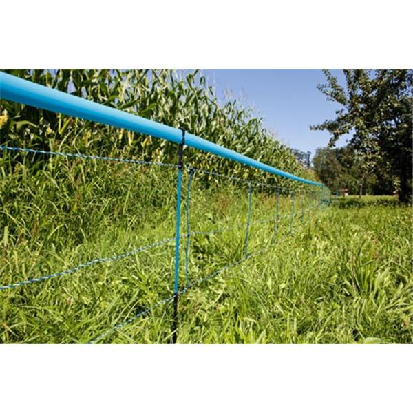 WildNet - za divje svinje