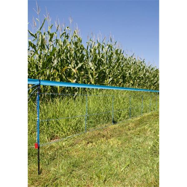 WildNet - za divje svinje