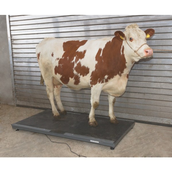 Tehtnica za živali PS 3000 ( do 1500 kg )