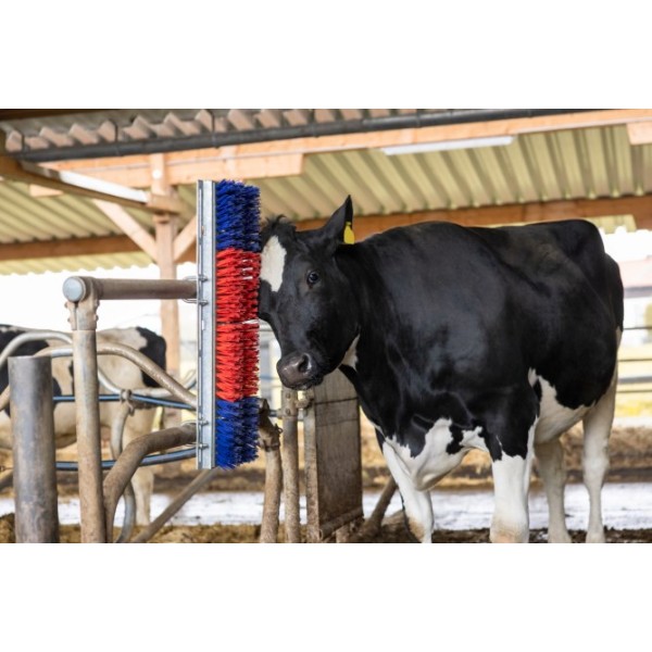 Krtača HAPPYCOW Bully