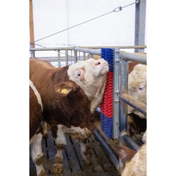 Krtača HAPPYCOW Bully