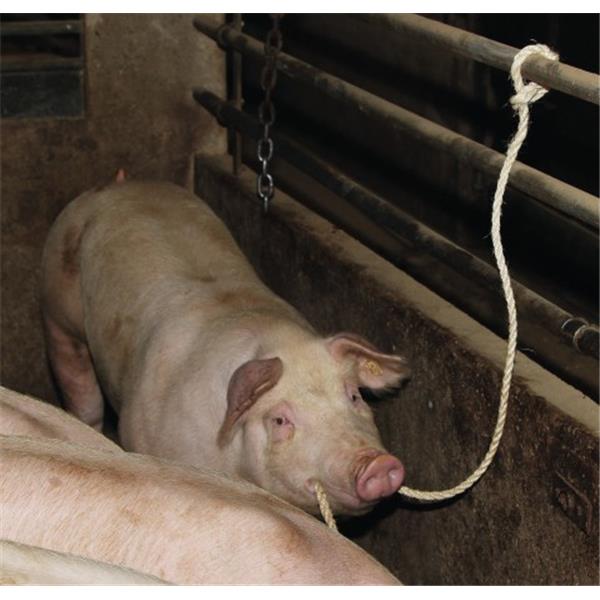 Sisal vrvica za igranje 320 cm