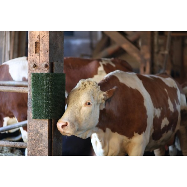 Blazina za praskanje in čiščenje KratzPad