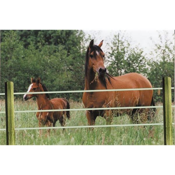 Leseni steber Octo Wood 