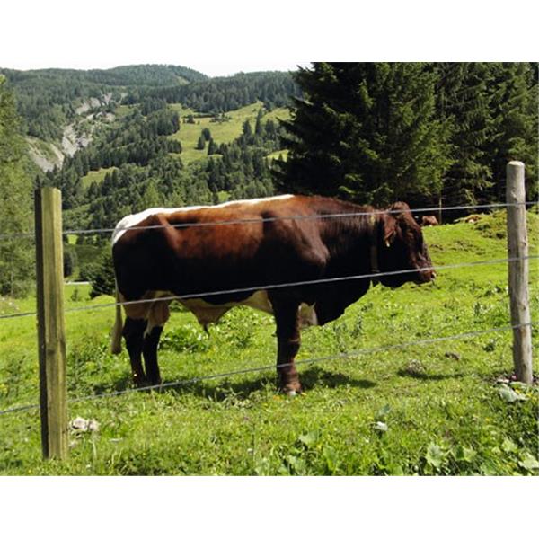 Leseni steber Octo Wood 