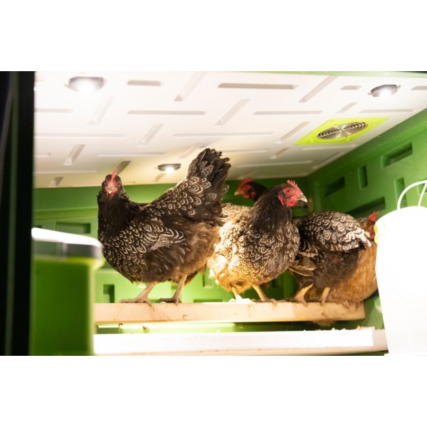 SmartCoop LED osvetlitev hleva 1,5W