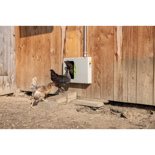 SmartCoop Vrata za kokoši