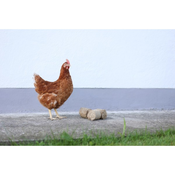 Briketi iz pirinih luščin 24/1