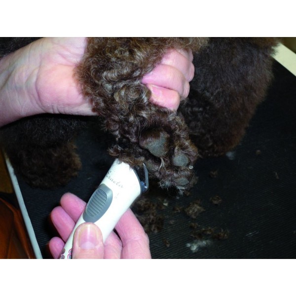 Številka artikla GT416  Aesculap Akumulatorski strižnik Exacta