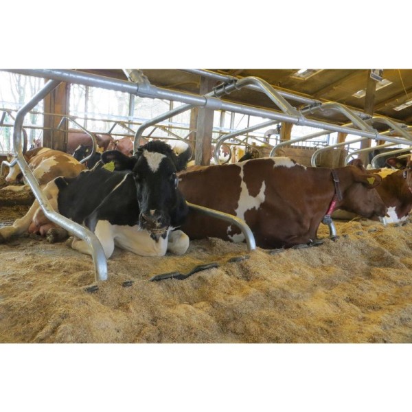 KEW Plus za ležišča 