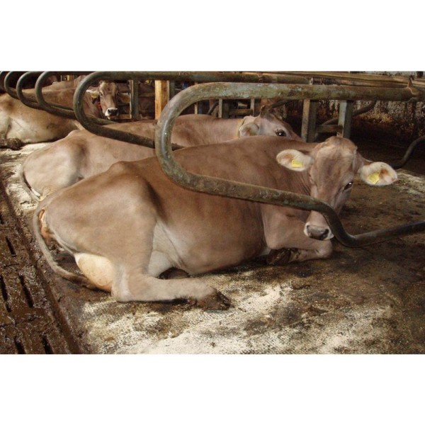 KEW Plus za ležišča 