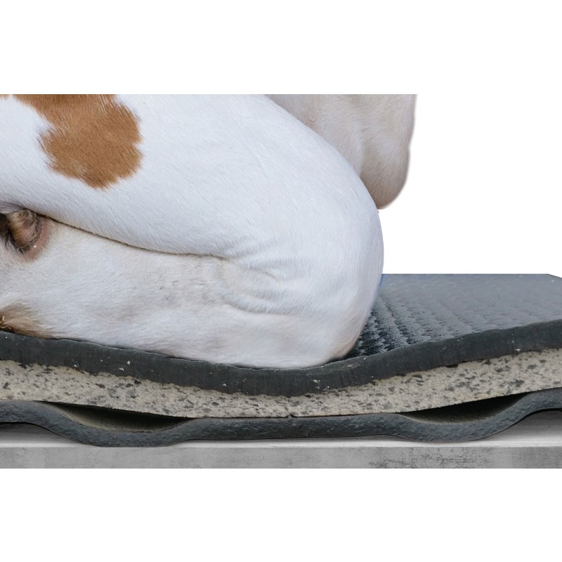 KEW Plus za ležišča