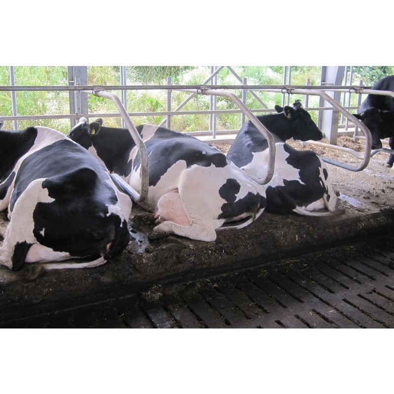 KEW Plus za ležišča