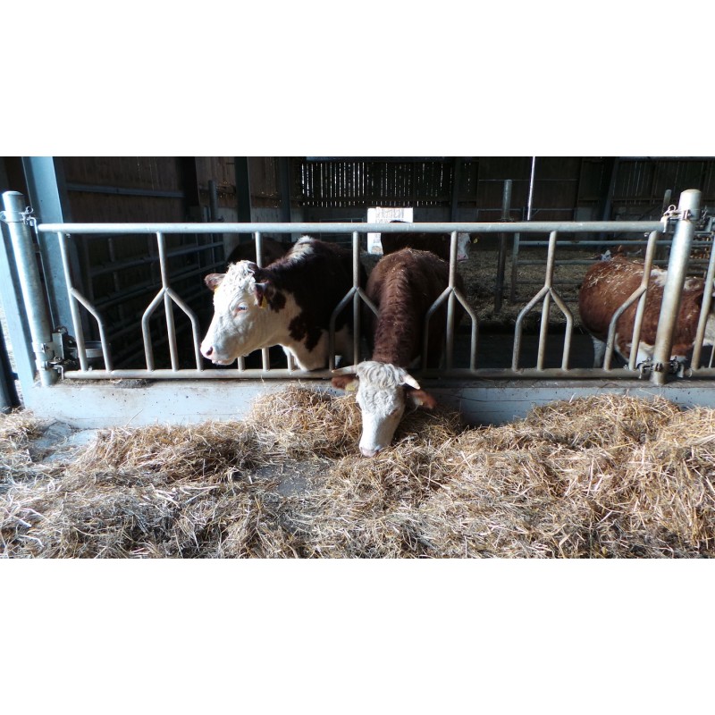 Palisadna krmna pregrada