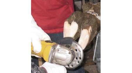 Brusne-rezne-ploce-za-kopita-