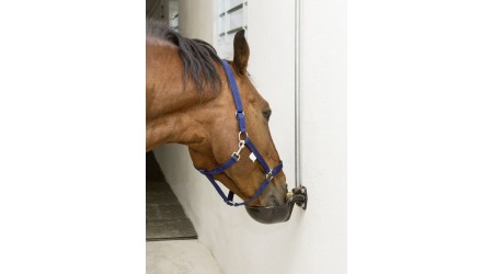 Napajalniki-za-konje