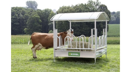 Pasne-jasle-i-mreze-za-bale