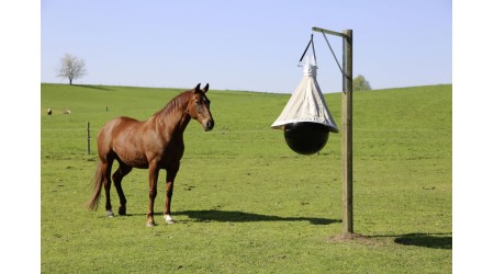 Klijesta-za-ose-i-komarce