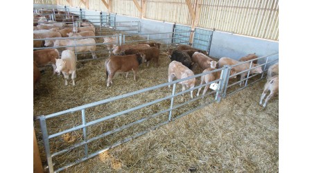 Pregrade-i-vrata-za-staju-JOURDAIN