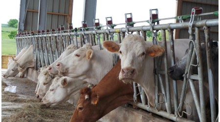 Pregrade-za-hranjenje-JOURDAIN